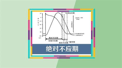 不應期|如何縮短CD時間 ？科學破解男人的「不反應期」